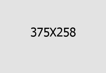 contact info